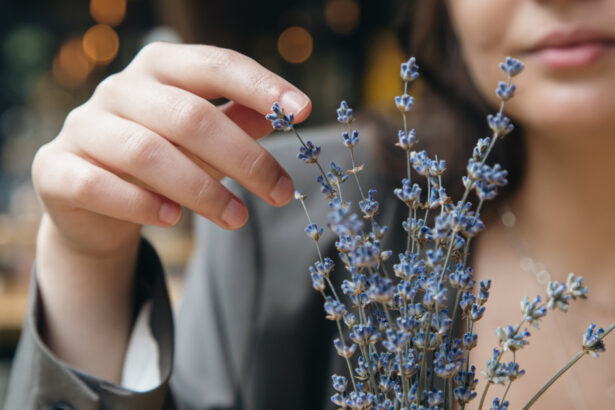 video afaceri profitabile cu miros si aroma de lavanda cum a reusit planta decorativa sa devina astazi ingredient in prajituri si cosmetice 6a00141c0830d