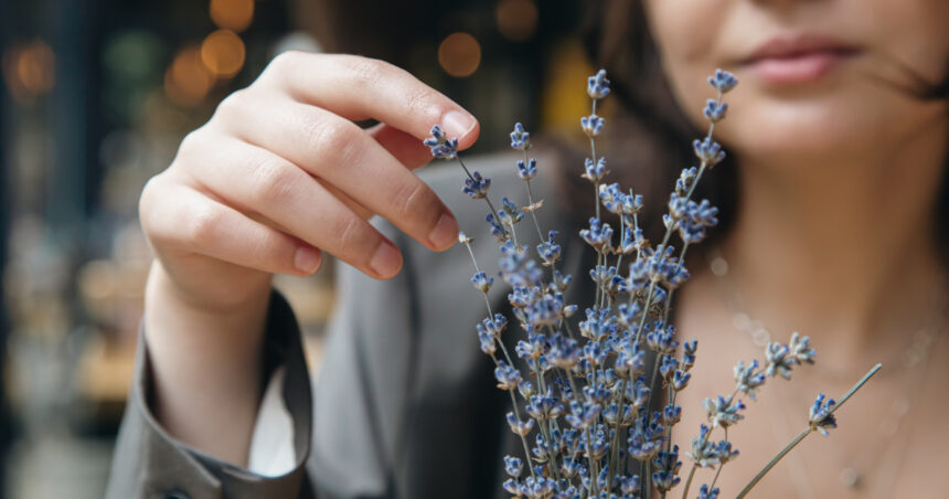 video afaceri profitabile cu miros si aroma de lavanda cum a reusit planta decorativa sa devina astazi ingredient in prajituri si cosmetice 6a00141c0830d
