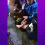 video bataie in centrul vechi din capitala intre ucraineni si o banda de motociclisti romani jandarmii au intervenit in timpul noptii 6a10488ddf701