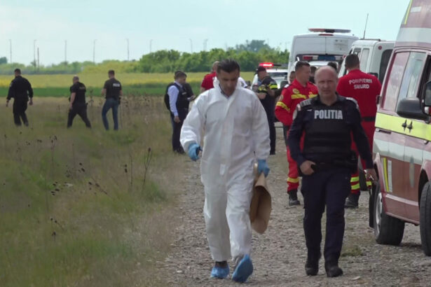 video eleva gasita moarta pe un camp din bihor suspectul principal a fost prins in apropiere de locul crimei 69fe1655c3a54