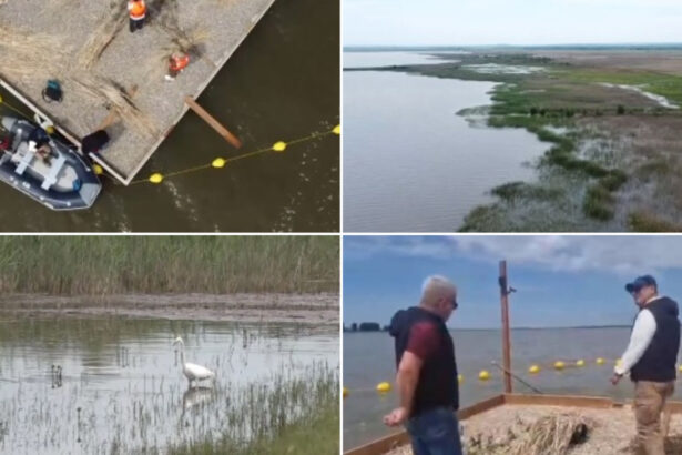 video experiment inedit in dolj insule artificiale pentru atragerea pasarilor salbatice pe cel mai mare lac din judet e doar inceputul 6a129026ee42c
