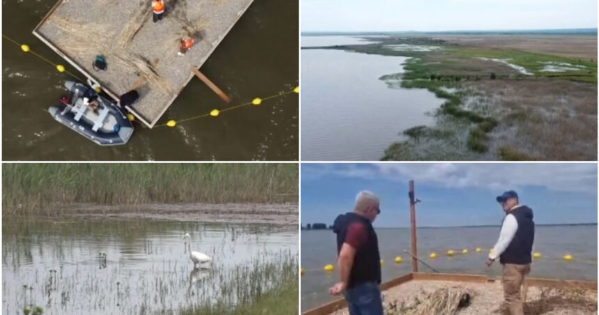 video experiment inedit in dolj insule artificiale pentru atragerea pasarilor salbatice pe cel mai mare lac din judet e doar inceputul 6a129026ee42c