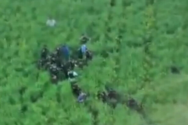 video imagini cu momentul capturarii suspectului in crima din bihor barbatul era ascuns intr un lan de rapita 69fe5218c55c5