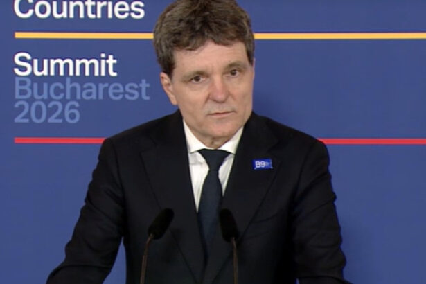 video nicusor dan statele din formatul b9 statele din zona nordica au preocupari comune si au o amenintare comuna rusia 6a04c6a9b8d12