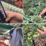 video noul trend printre comerciantii din piete fructe si legume promovate pe retelele sociale cum ajuta clipurile online vanzarile 6a1153bd528c0