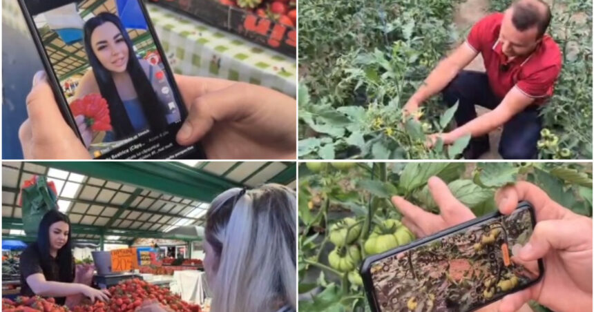 video noul trend printre comerciantii din piete fructe si legume promovate pe retelele sociale cum ajuta clipurile online vanzarile 6a1153bd528c0