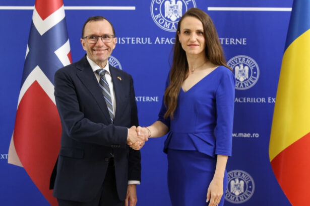 video oana toiu relatiile economice romania norvegia intr un moment bun exporturi de 700 milioane de euro 6a0458547bcb6