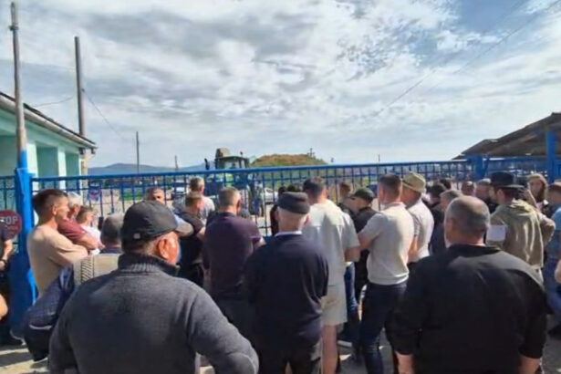 video protest in hunedoara cel mai bogat oier din romania acuzat ca nu a platit milioane de euro unor fermieri isi bate joc de noi 6a146031e2bcd