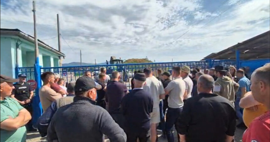 video protest in hunedoara cel mai bogat oier din romania acuzat ca nu a platit milioane de euro unor fermieri isi bate joc de noi 6a146031e2bcd