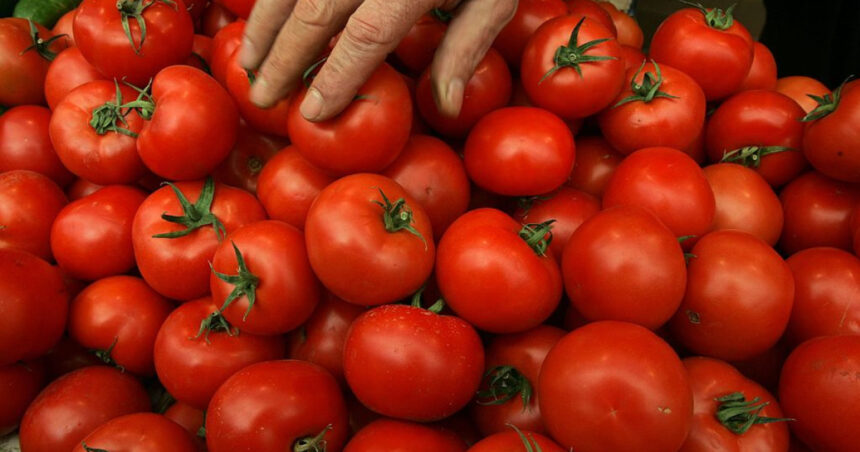 video sunt tratate sa reziste pericolul rosiilor perfecte din piete si supermarketuri cum le putem recunoaste pe cele cu pesticide 6a0be304a1085