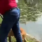 video un barbat e acuzat ca a incercat sa si inece cainele in lacul din parcul tineretului din capitala politia a deschis dosar penal 6a0064f5728d8
