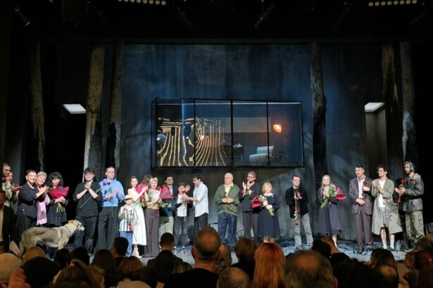 video un spectacol de neratat la teatrul de stat constanta toti fiii mei de arthur miller in regia lui vlad cristache 6a00ffa6c5d66