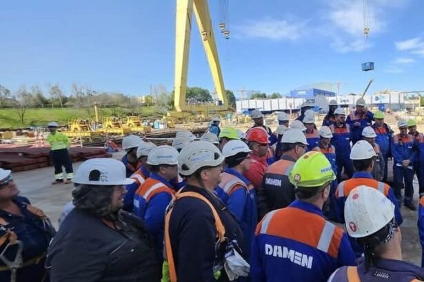 viitorul santierului damen mangalia va fi decis astazi de creditori gigantii rheinmetall si msc sunt in cursa 69fd92185a9f8