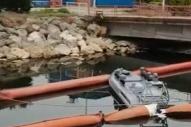 autoritatea navala explica de ce drona nu putea fi detectata de radar desi marina ucrainei a avertizat partea romana 6a22d2a6a29e7