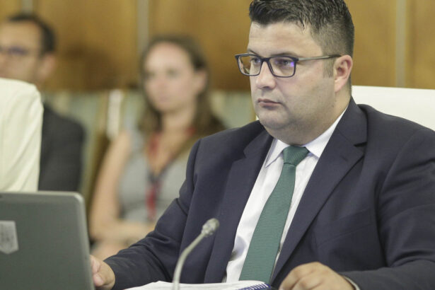 cine este dan neculaescu propunerea lui eugen tomac pentru ministerul apararii 6a2c351628d4d