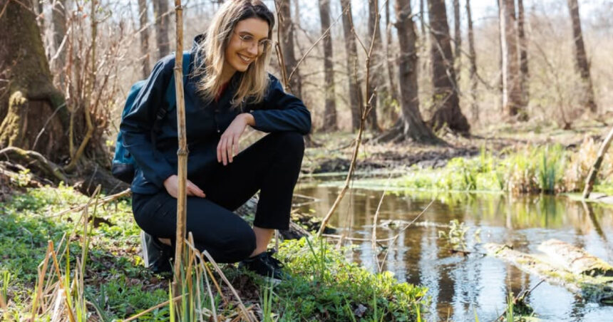 diana buzoianu sesizare penala 250 000 de puieti care trebuiau plantati existau doar pe hartie asa se fura padurile viitoare 6a1eb06de2ffd
