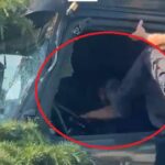 dosarul in care politistii locali care au intervenit la accidentul cu tir ul din tomis nord sunt cercetati pentru purtare abuziva a ajuns la parchet 6a3c5f12105d8