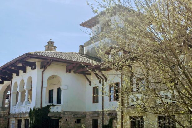 dupa ani de ruina si uitare vila regala a reginei maria primeste sansa renasterii a fost semnat protocolul pentru restaurare 6a3fa412acec2