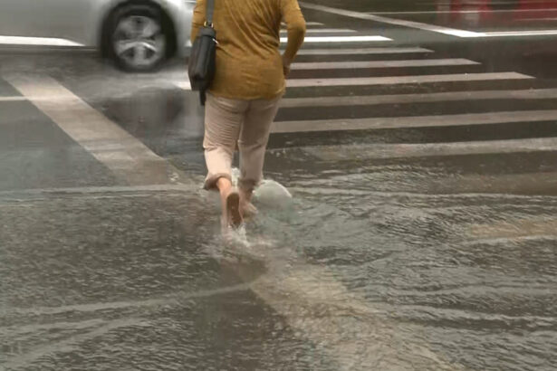 efecte ale vremii nefavorabile in 10 judete si bucuresti zeci de interventii ale pompierilor pentru inundatii si copaci cazuti 6a248693f3020