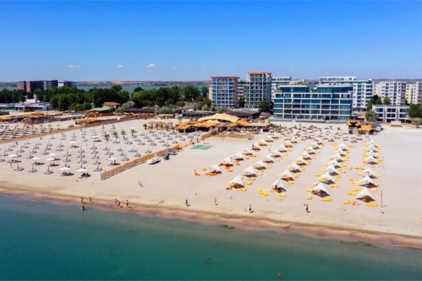 fostul sef al corpului de control din anpc in atentia dna a primit mita de la reprezentantii clubului la nueva cucaracha din mamaia 6a2a7a6a4b2b3