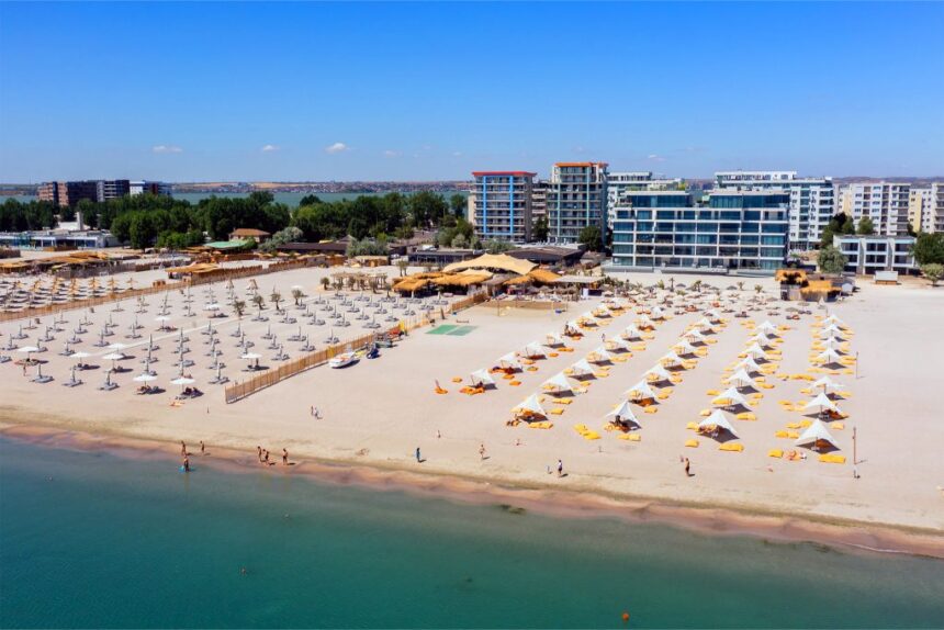 fostul sef al corpului de control din anpc in atentia dna a primit mita de la reprezentantii clubului la nueva cucaracha din mamaia 6a2a7a6a4b2b3