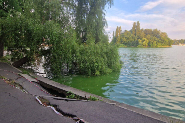 foto primaria capitalei anunta ca incepe golirea lacului herastrau pentru lucrari de reabilitare ce se intampla cu pestii si ratele 6a1dfd2532567