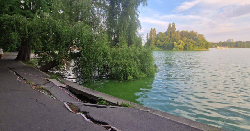 foto primaria capitalei anunta ca incepe golirea lacului herastrau pentru lucrari de reabilitare ce se intampla cu pestii si ratele 6a1dfd2532567