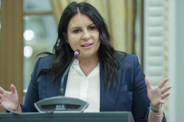 gabriela horga propusa ca vicepresedinte pnl in echipa lui ilie bolojan imi asum acest proiect cu seriozitate si responsabilitate 6a378a94dba6f