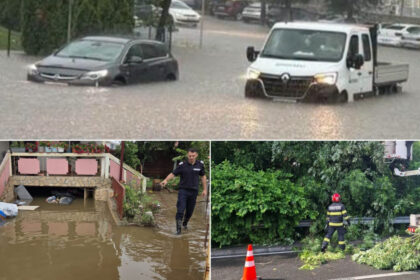 galerie foto furtunile au facut prapad in 10 judete un spital a ramas fara curent dupa ce trei copaci s au prabusit peste un stalp de electricitate 6a3c4fa446ec5