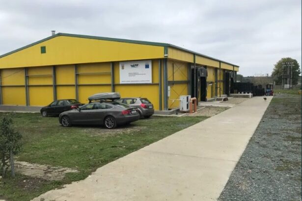 hala in care a functionat singura unitate de procesare a molustelor din tara localizata in 23 august scoasa la licitatie 6a29d4f2f26d9