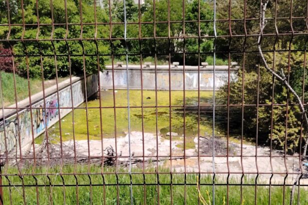 inca una dupa sala polivalenta si stadion nou constanta va avea si bazin de inot 6a3e6b826ed94