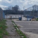 incep lucrarile la noul stadion gheorghe hagi o firma din agigea se ocupa de cercetarea arheologica 6a25ee7f6c9be