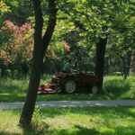 licitatia pentru modernizarea sistemului de irigatii din parcul tabacarie a atras o singura oferta 6a21ec0b6a333