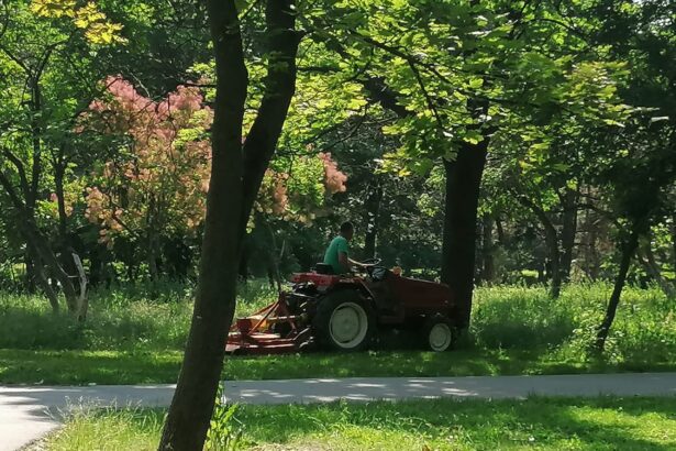 licitatia pentru modernizarea sistemului de irigatii din parcul tabacarie a atras o singura oferta 6a21ec0b6a333