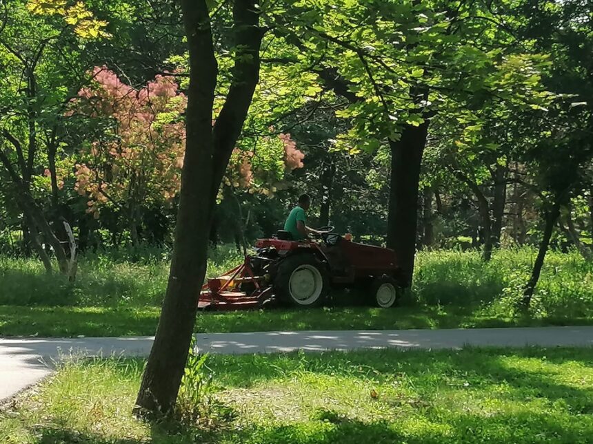 licitatia pentru modernizarea sistemului de irigatii din parcul tabacarie a atras o singura oferta 6a21ec0b6a333
