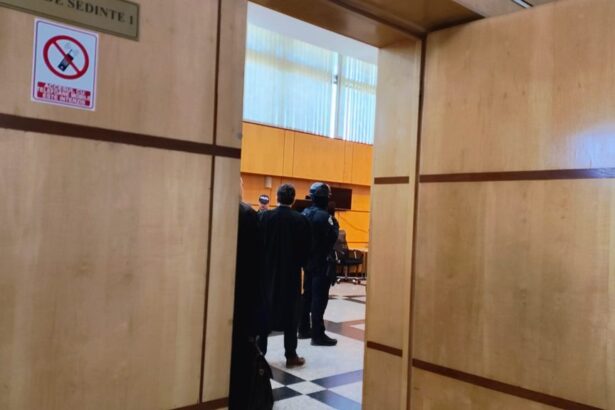 mai multe persoane retinute in dosarul firmelor de curierat inclusiv din constanta cum functiona mecanismul care ar fi produs un prejudiciu de 50 de milioane de lei 6a325fa87b9ff