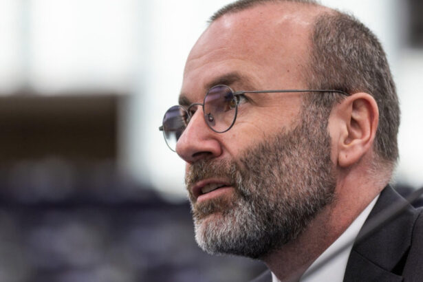 manfred weber dupa ce ilie bolojan a fost reconfirmat in fruntea pnl cetatenii isi doresc claritate si leadership 6a381734a9374