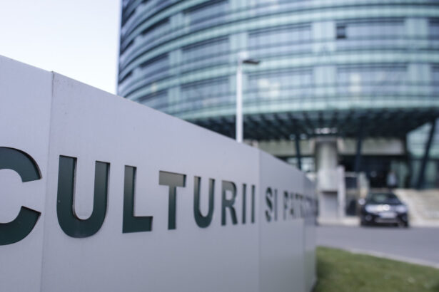 ministerul culturii cere modificarea proiectului legii salarizarii unitare dezechilibre care afecteaza profesionistii din domeniu 6a1fcd3540cb7