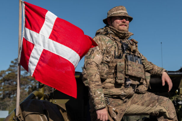 nato isi consolideaza flancul estic danemarca trimite un batalion de 850 de soldati in letonia 6a32a1282f45a