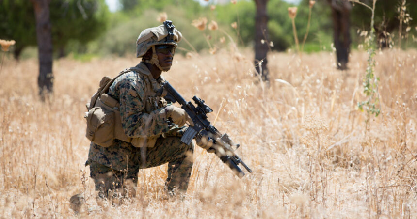 nava de asalt amfibiu castilla aduce in romania 200 de infanteristi marini spanioli 6a1d902c7aef5