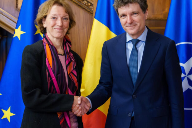 nicusor dan intalnire cu sefa consiliului europen pentru cercetare sa construim institutii capabile sa sustina talent stiintific 6a2d8d9ece740