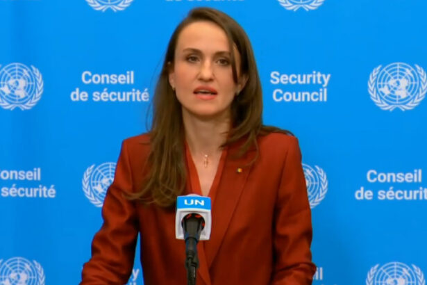 oana toiu dupa consiliul de securitate al onu comunitatea internationala arata ca o incalcare flagranta nu trebuie sa fie tolerata 6a1e74ae5b540