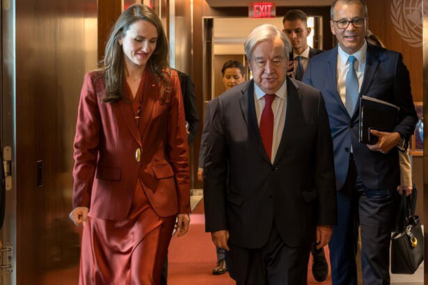 oana toiu intalnire cu secretarul general onu la new york avem o viziune comuna asupra impactului incidentului cu drona in romania 6a1ecb6d094eb