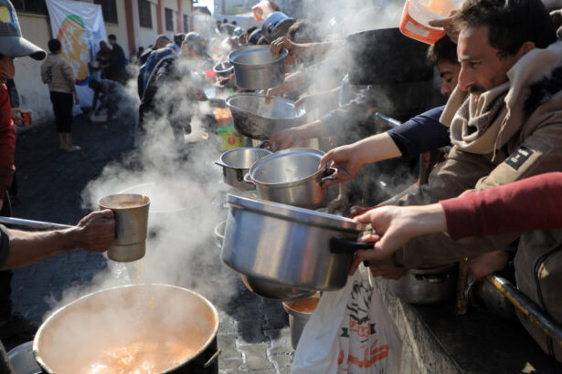 organizatia mondiala a sanatatii trage un semnal de alarma alimentele contaminate ucid 15 milioane de oameni pe an 6a2572238ec59