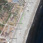 pe plajele din mamaia si navodari vor fi plantati arbori si arbusti adaptati mediului costier 6a21b6461c3af