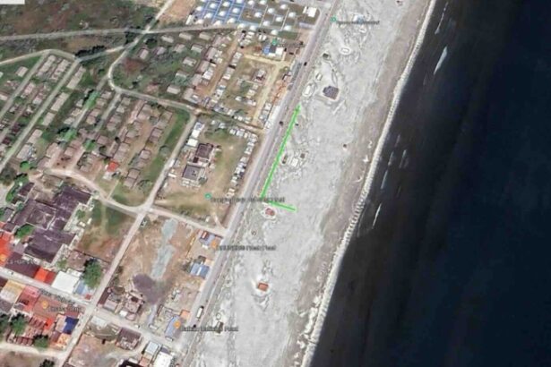 pe plajele din mamaia si navodari vor fi plantati arbori si arbusti adaptati mediului costier 6a21b6461c3af
