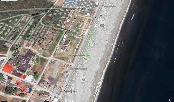 pe plajele din mamaia si navodari vor fi plantati arbori si arbusti adaptati mediului costier 6a21b6461c3af