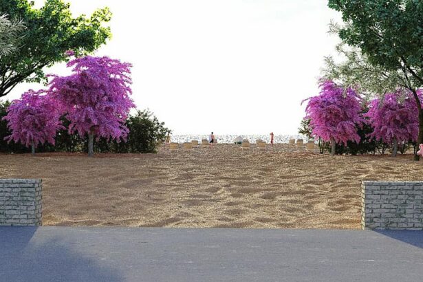 perdele forestiere experimentale pentru umbrirea plajelor din zona mamaia navodari 6a1f42042c8bb