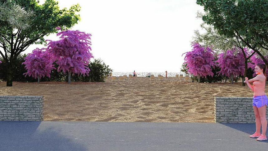 perdele forestiere experimentale pentru umbrirea plajelor din zona mamaia navodari 6a1f42042c8bb