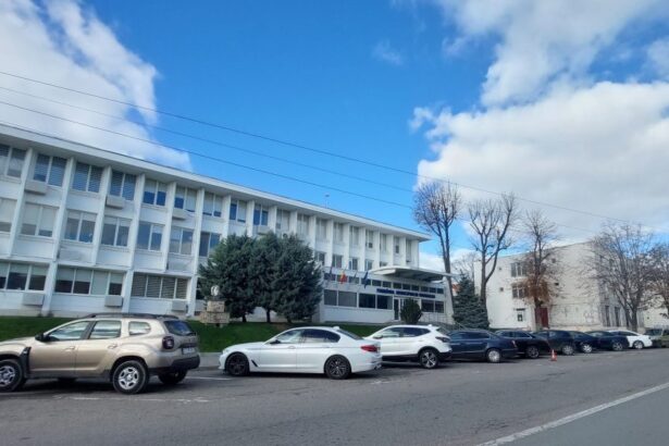 radu construct alpin continua seria contractelor cu primaria mangalia aproape 50 000 de lei pentru intretinerea lacului 2 6a2f33ac79944